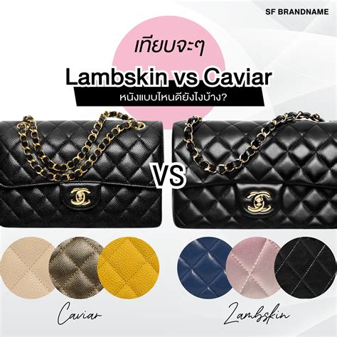 CHANEL LAMBSKIN VS CAVIAR *In